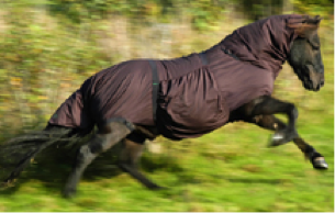 Boett blanket