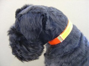 Dog Reflector Collar