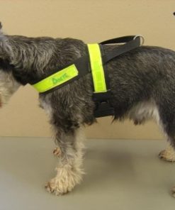 Track Harness 4cm