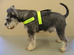 Track Harness 4cm