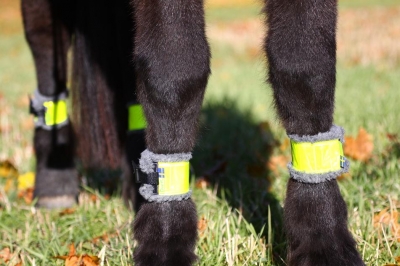 Horse leg Reflector