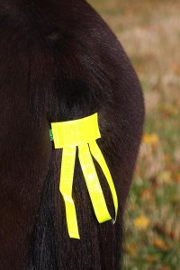 Vectro Tail Reflector